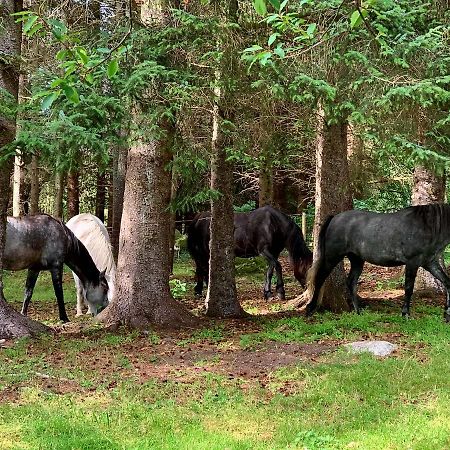 Kjorsvik Ovre Lägenhet Tornes Exteriör bild