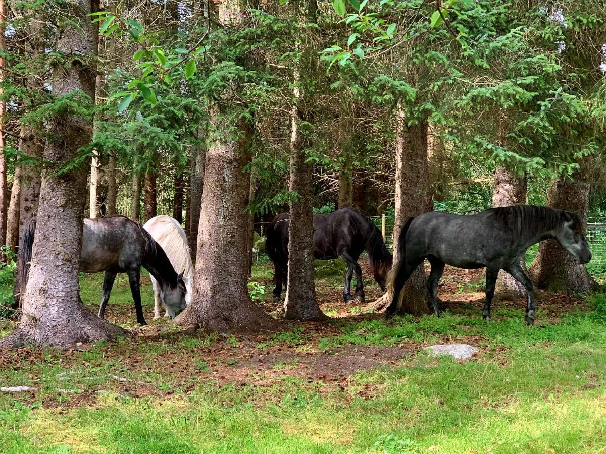 Kjorsvik Ovre Lägenhet Tornes Exteriör bild