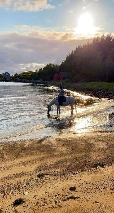 Kjorsvik Ovre Lägenhet Tornes Exteriör bild