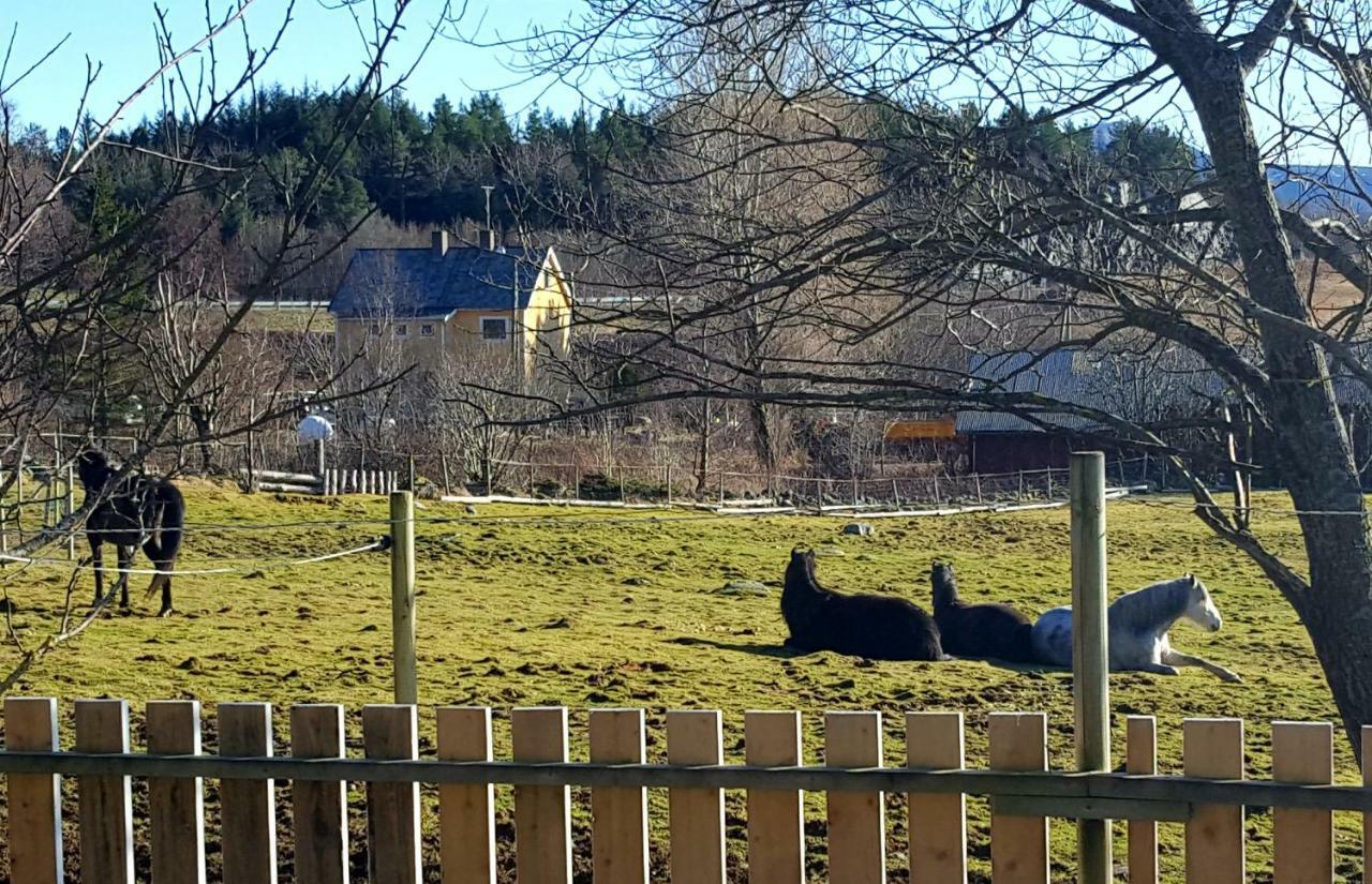 Kjorsvik Ovre Lägenhet Tornes Exteriör bild