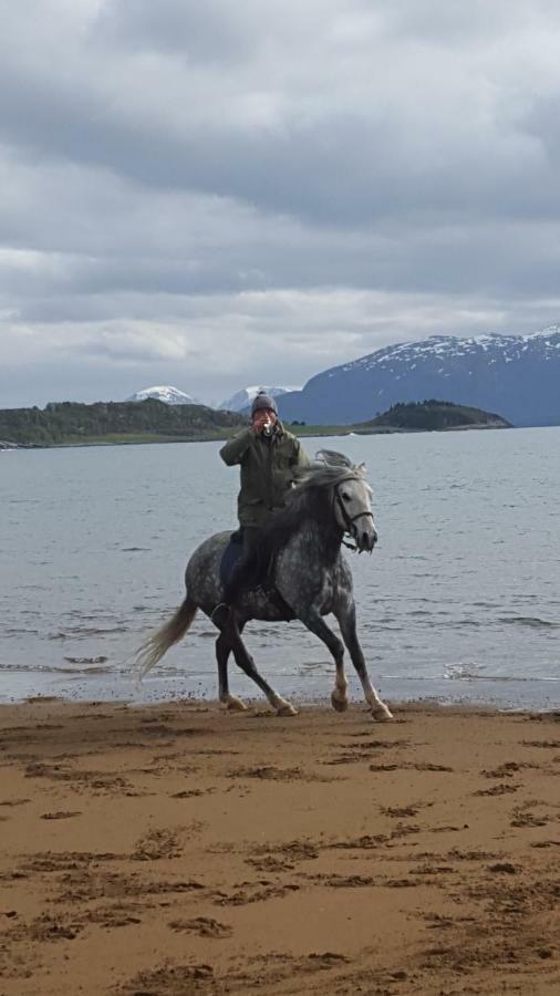 Kjorsvik Ovre Lägenhet Tornes Exteriör bild
