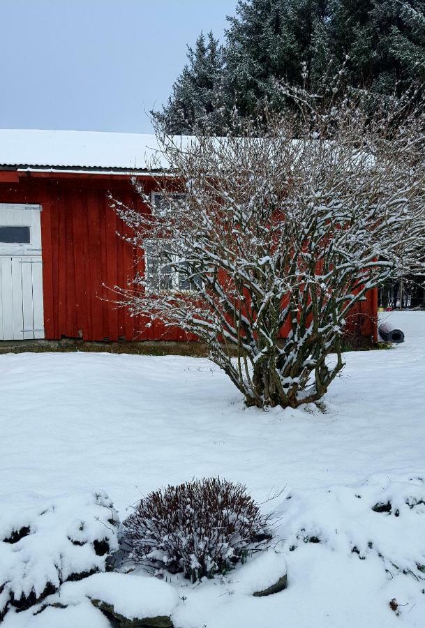 Kjorsvik Ovre Lägenhet Tornes Exteriör bild