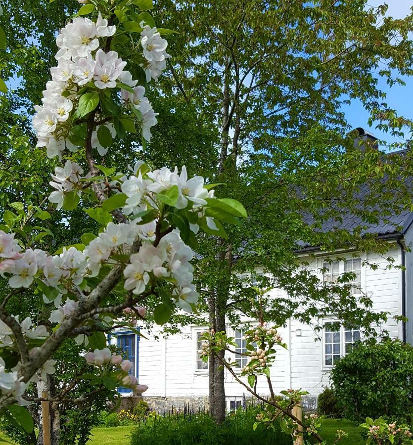 Kjorsvik Ovre Lägenhet Tornes Exteriör bild