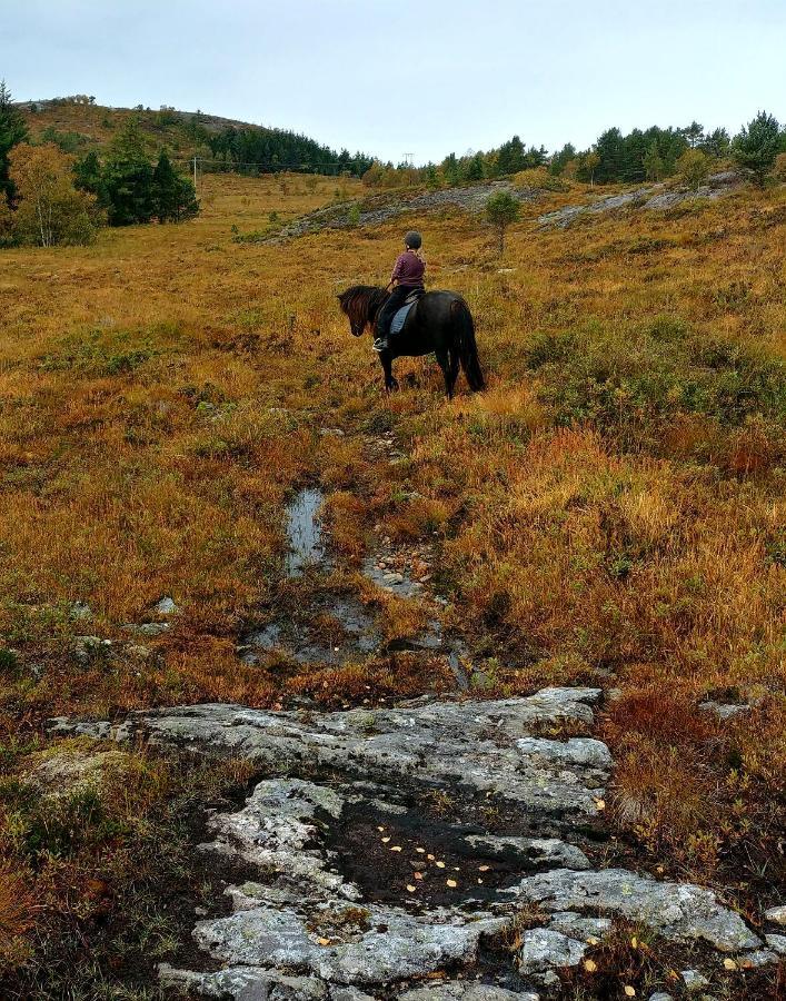 Kjorsvik Ovre Lägenhet Tornes Exteriör bild